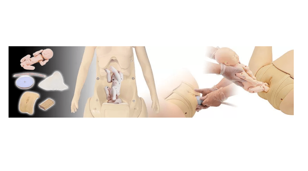 Modul für Hana - Geburtshilfe - Modul - Erler - Zimmer